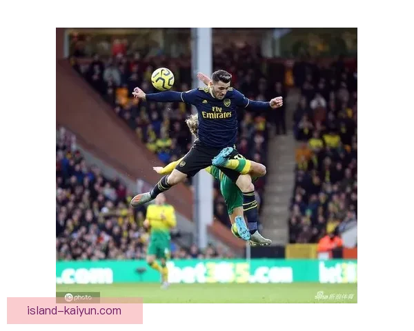 诺维奇卡罗路魔力