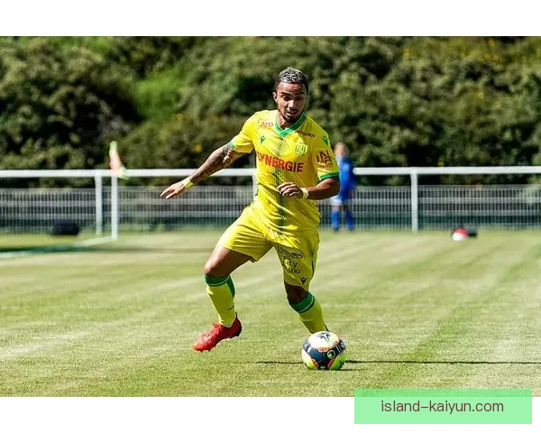 南特边路进攻持续提升，赛季表现备受关注